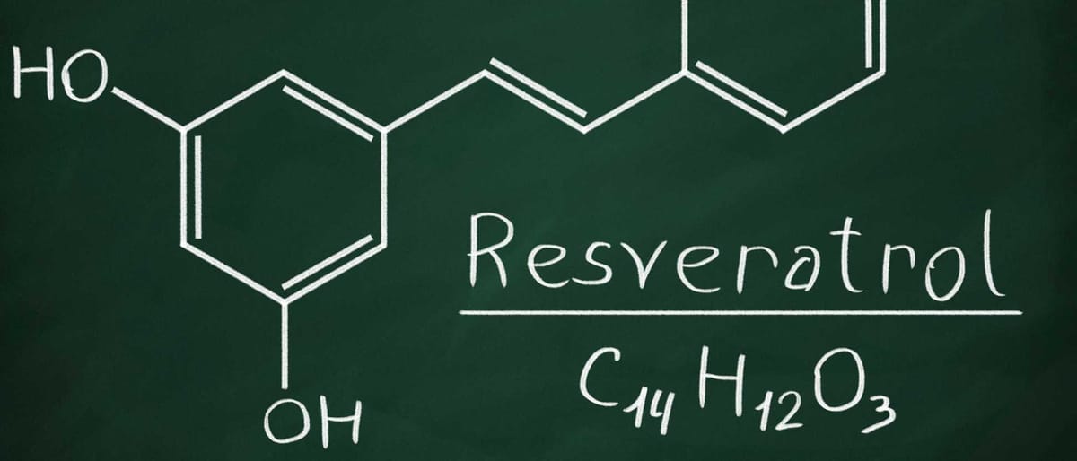 Ресвератрол для мозга после 40: как питание и образ жизни влияют на память и ясность ума