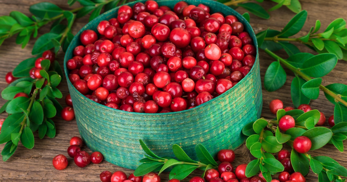 Добавки с клюквой в доказательном подходе к здоровью и самочувствию