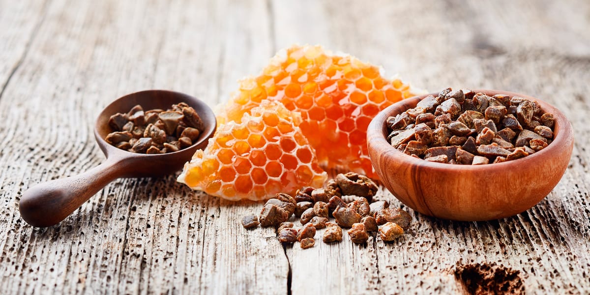 Прополис для профилактики и восстановления: как применять разумно