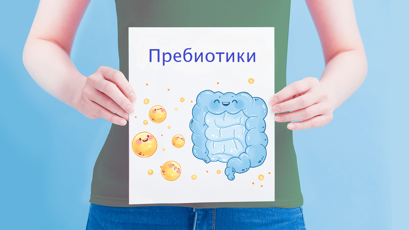 Пребиотики в питании: какие продукты поддерживают кишечник и пищеварение