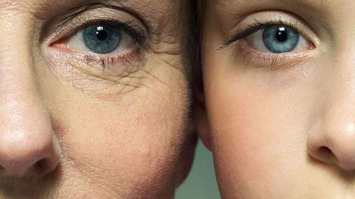 С-аденозилметионин после 40 лет: профилактика возрастных изменений и поддержка ресурса