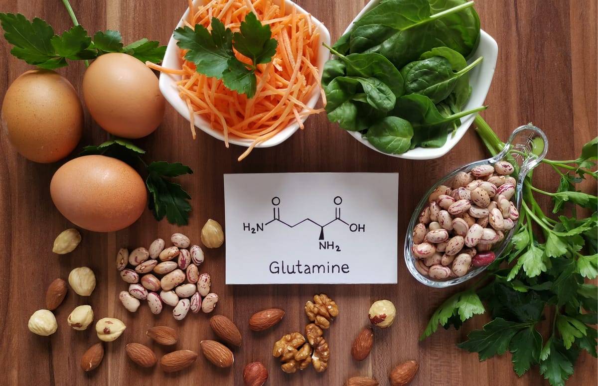 L-глютамин в профилактике возрастных изменений и поддержке обмена