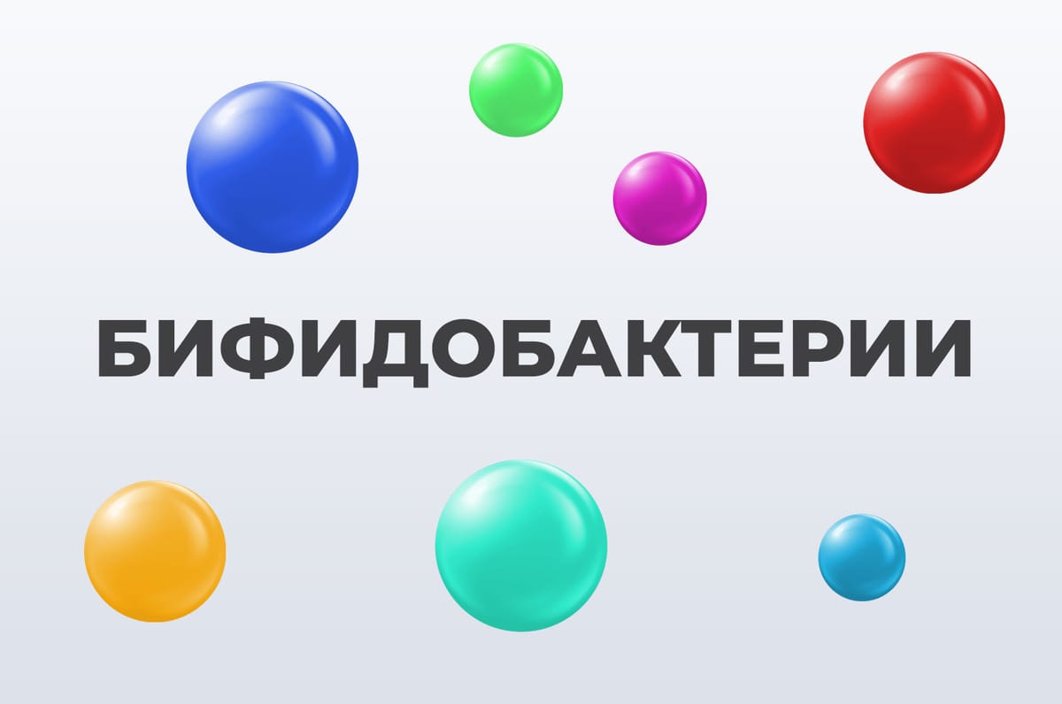 Бифидобактерии и долголетие: как микрофлора влияет на самочувствие