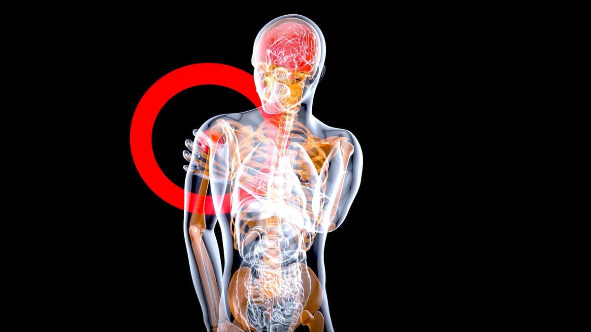 Пикногенол: как он связан со здоровьем сосудов, энергией и активным долголетием