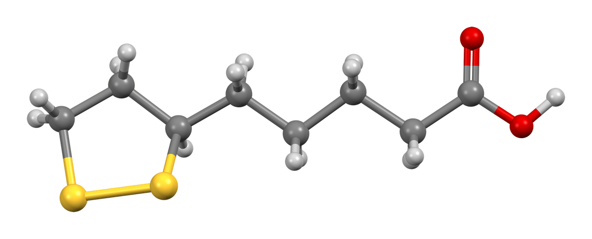 Альфа-липоевая кислота и здоровое старение: энергия, нервы и профилактика