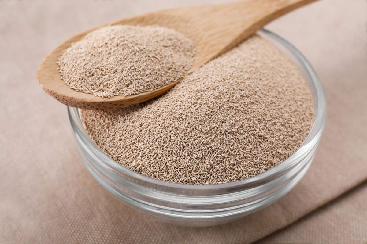 Дрожжи в питании: польза, свойства и значение для здоровья