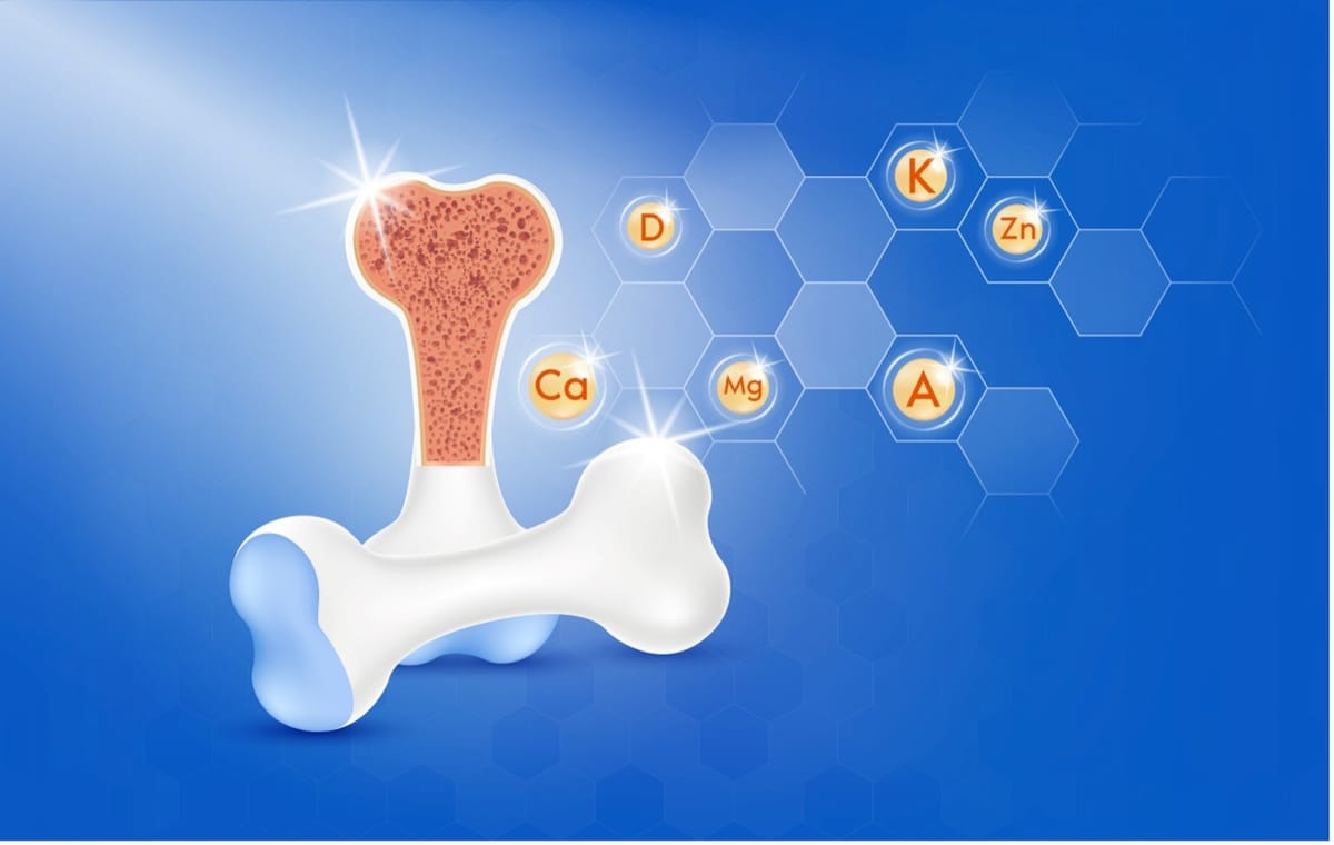 Босвеллия: как она связана со здоровьем суставов, подвижностью и активным долголетием
