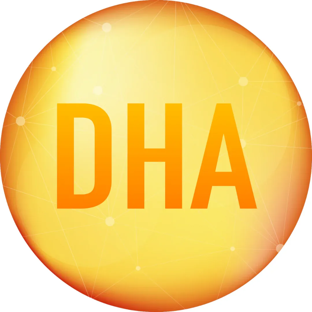 ДГК: роль для мозга, зрения и повседневного здоровья