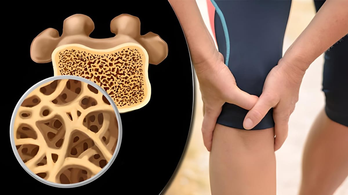 Добавки для здоровья костей после 40 лет: профилактика возрастных изменений без крайностей