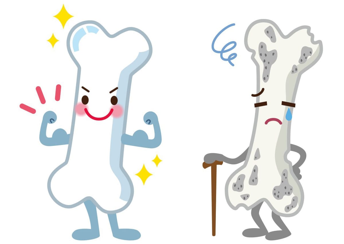 Добавки для здоровья костей и питание: как связаны рацион, витамин D и профилактика остеопороза