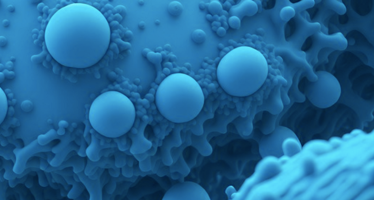 Аккермансия и метаболическое здоровье: питание, микробиота и устойчивое самочувствие