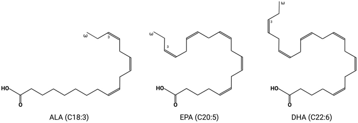 ДГК без мифов: научный взгляд, профилактика и разумные ожидания