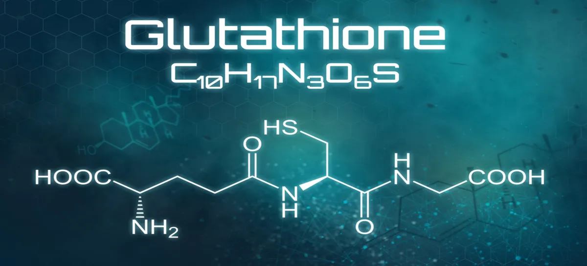 Глутатион и долголетие: питание, восстановление и профилактика