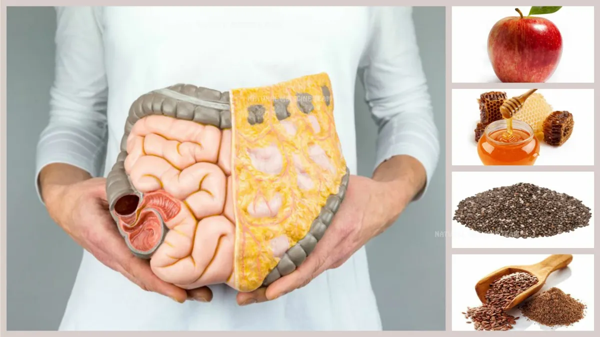 Рыбий жир омега-3 польза для кишечника: как жирные кислоты влияют на пищеварение и самочувствие