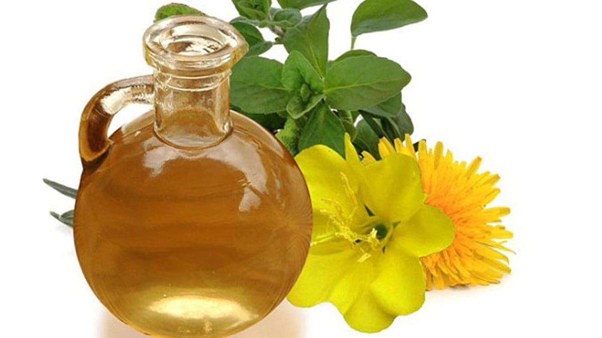 Масло ослинника: польза, свойства и место в здоровом питании