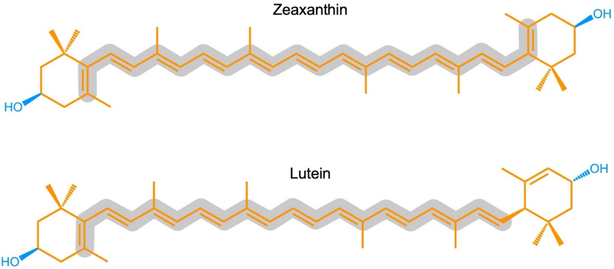 Зеаксантин для здоровья глаз: питание, польза и профилактика