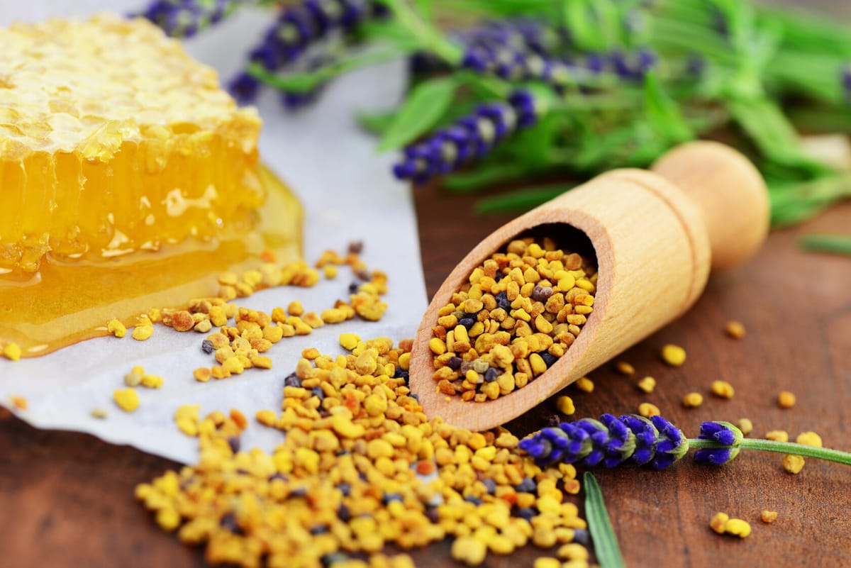 Пчелиная пыльца: польза, свойства и место в здоровом образе жизни