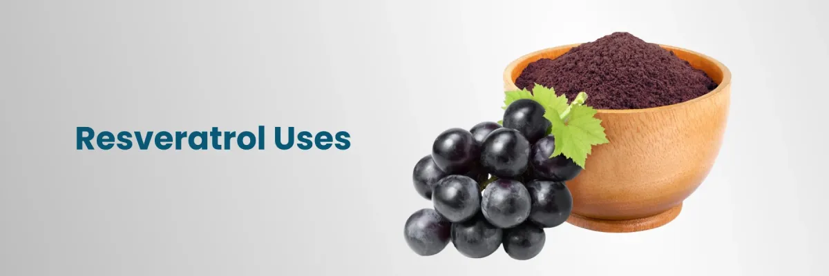 Ресвератрол для мозга: как антиоксиданты связаны с памятью, вниманием и здоровым старением