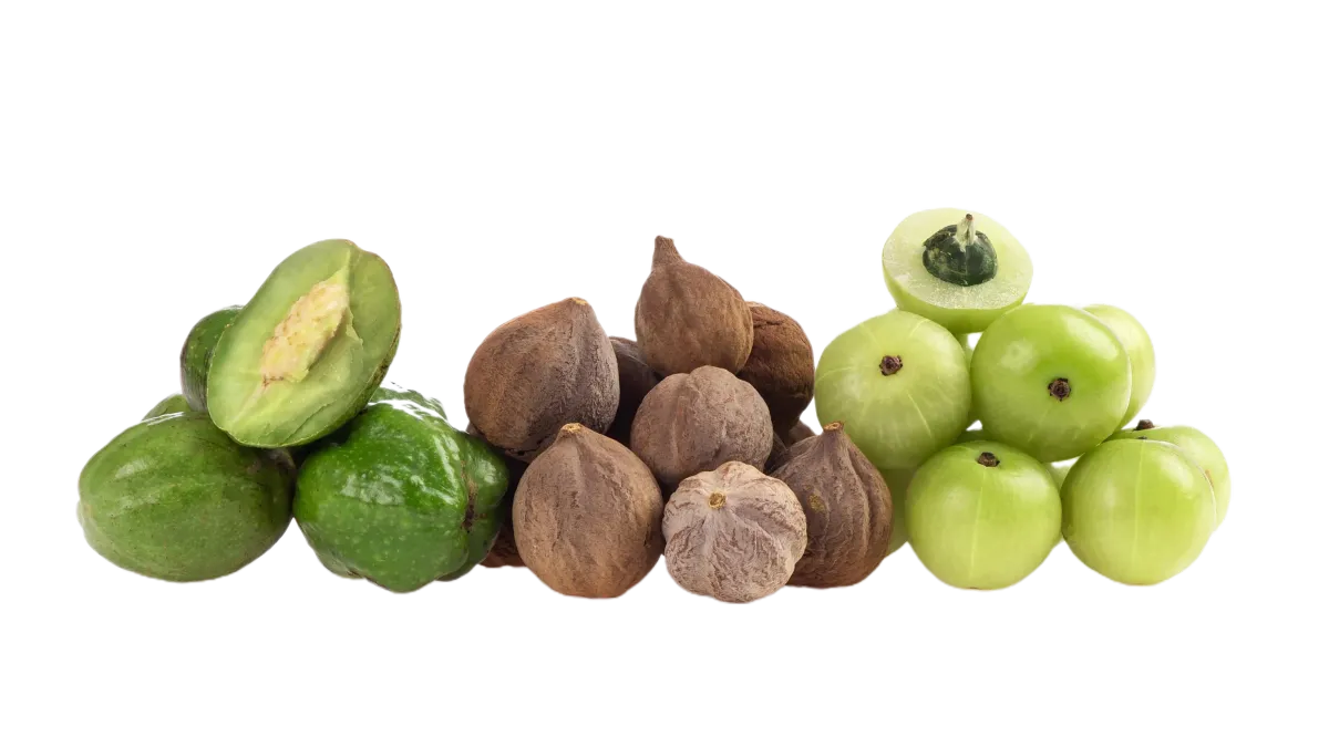 Трифала без мифов: как относиться к популярной аюрведической формуле разумно