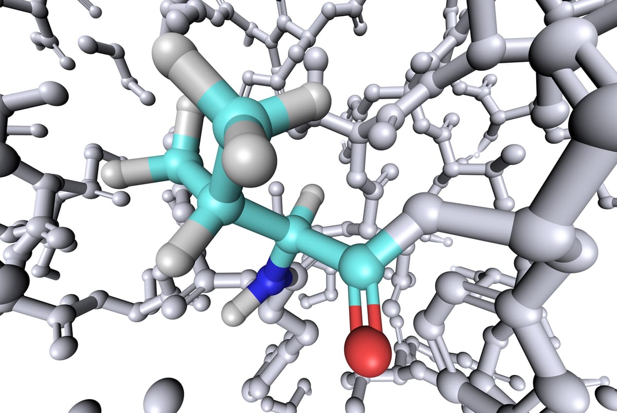 Аминокислоты для восстановления, энергии и здорового старения