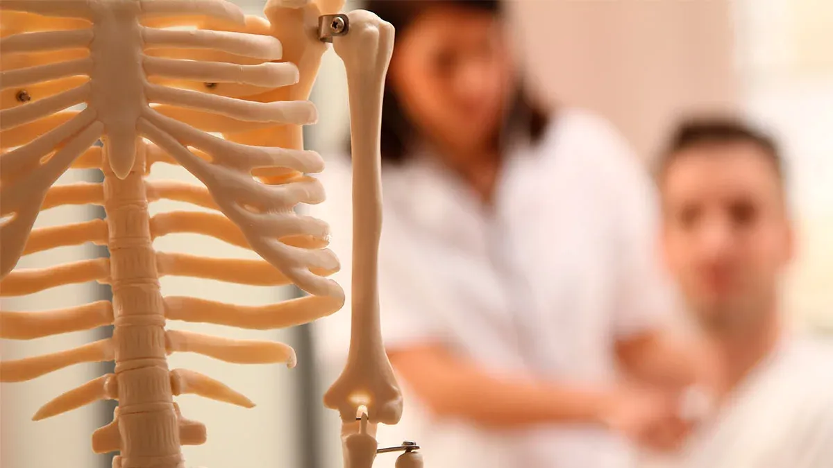 Кремний в питании: как связаны рацион, соединительная ткань и профилактика возрастных изменений