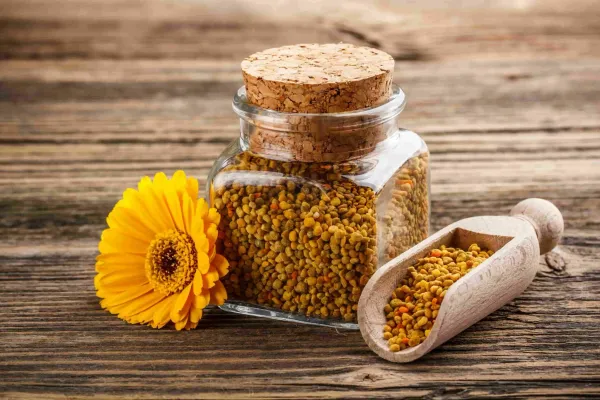 Пчелиная пыльца для профилактики и восстановления: практический взгляд