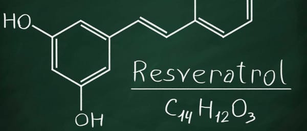 Ресвератрол для мозга после 40: как питание и образ жизни влияют на память и ясность ума