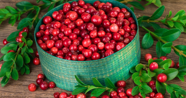 Добавки с клюквой в доказательном подходе к здоровью и самочувствию