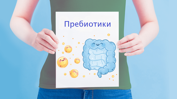 Пребиотики в питании: какие продукты поддерживают кишечник и пищеварение