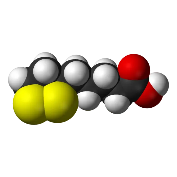 Альфа-липоевая кислота: польза для обмена веществ и защиты клеток