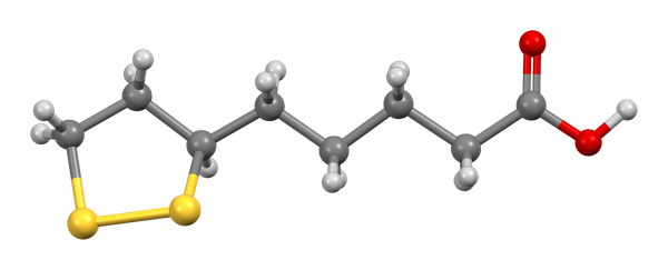 Альфа-липоевая кислота и здоровое старение: энергия, нервы и профилактика