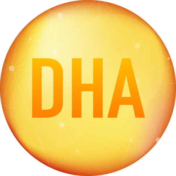 ДГК: роль для мозга, зрения и повседневного здоровья