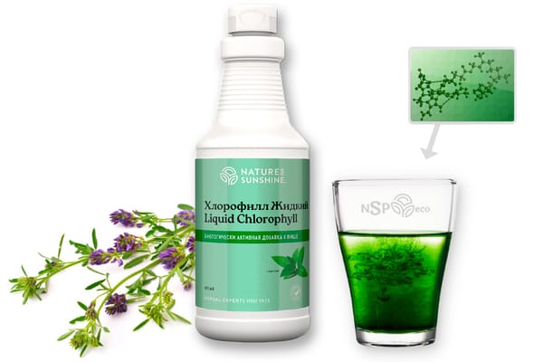 Хлорофилл в питании и БАДах: что важно знать без мифов