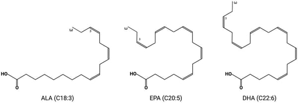 ДГК без мифов: научный взгляд, профилактика и разумные ожидания