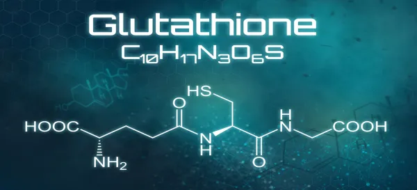 Глутатион и долголетие: питание, восстановление и профилактика