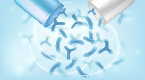 Пребиотики: как они поддерживают кишечник, микробиоту и общее самочувствие