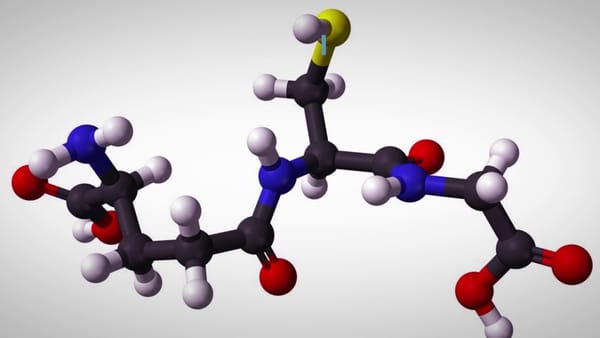 Глутатион для организма: баланс, питание и научный взгляд