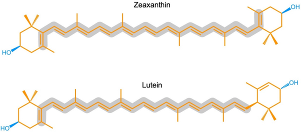 Зеаксантин для здоровья глаз: питание, польза и профилактика