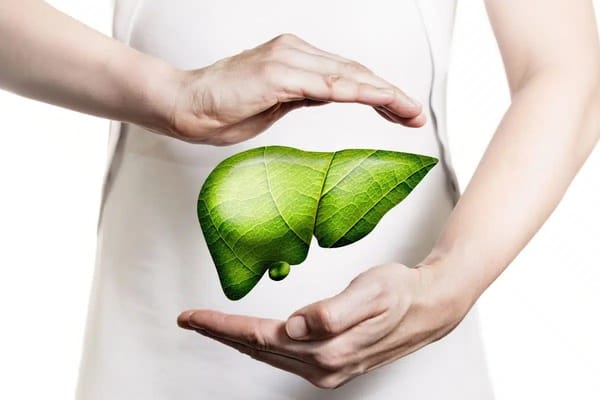 Здоровье печени без мифов: научный взгляд и практические советы