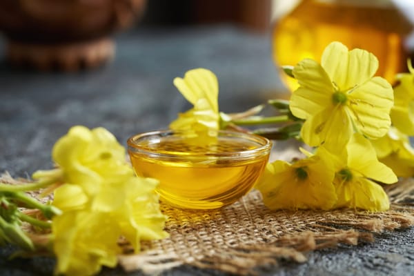 Масло ослинника в питании и добавках: как использовать разумно