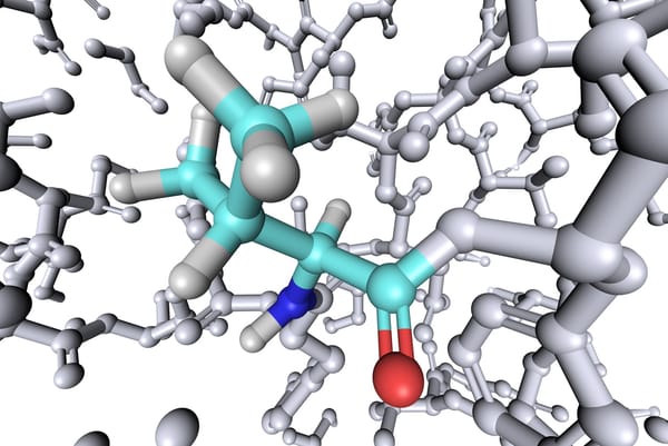 Аминокислоты для восстановления, энергии и здорового старения